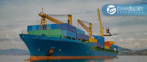 連續五年增長，XX港口吞吐量增長10% 絲網制品及進出口業務成關鍵驅動力